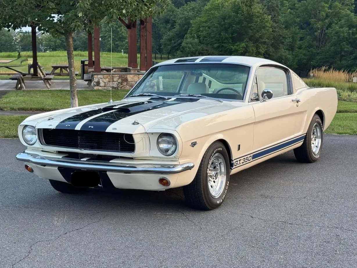 1965 Ford Mustang Fastback GT350 video preview