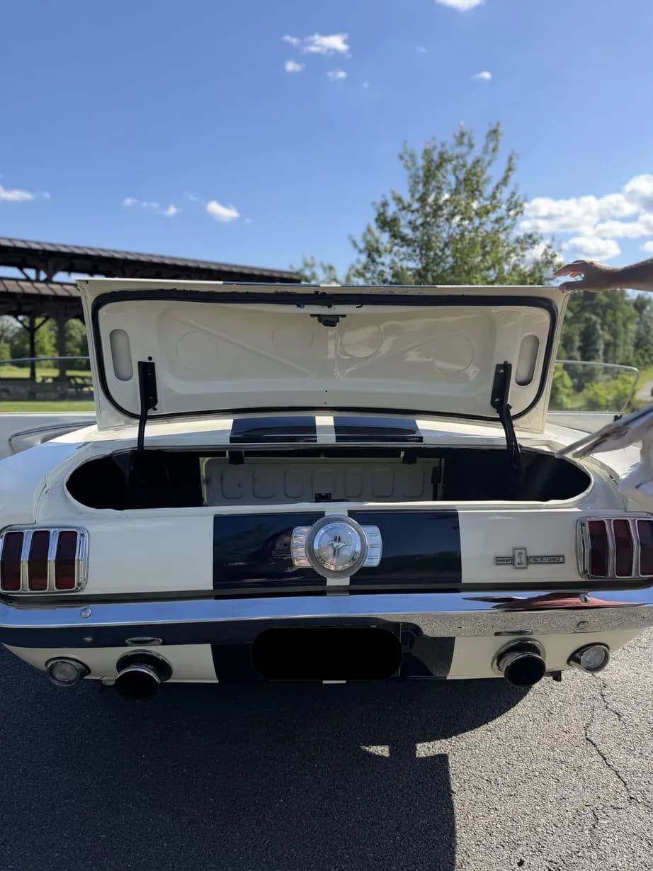 1965 Ford Mustang Fastback GT350, view
