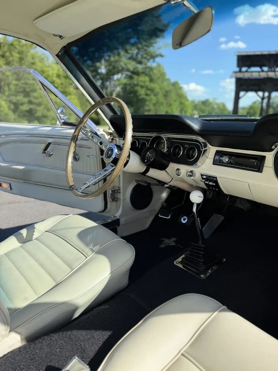 1965 Ford Mustang Fastback GT350, view