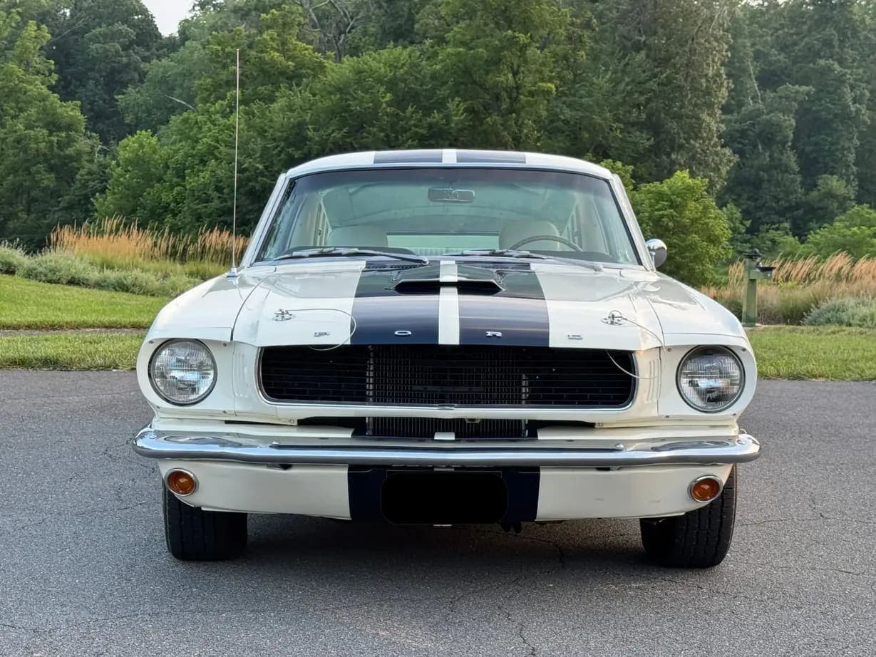 1965 Ford Mustang Fastback GT350, view