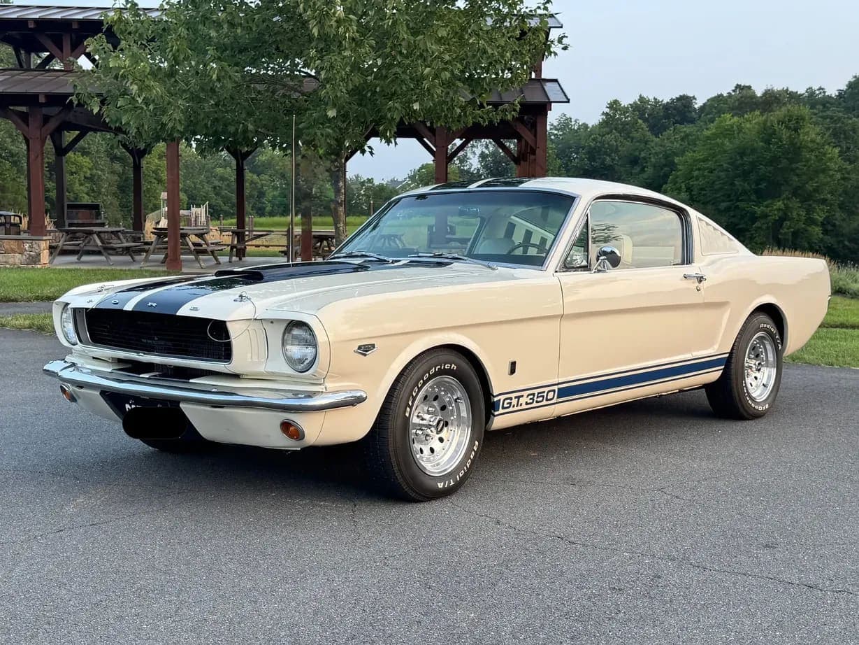 1965 Ford Mustang Fastback GT350, view