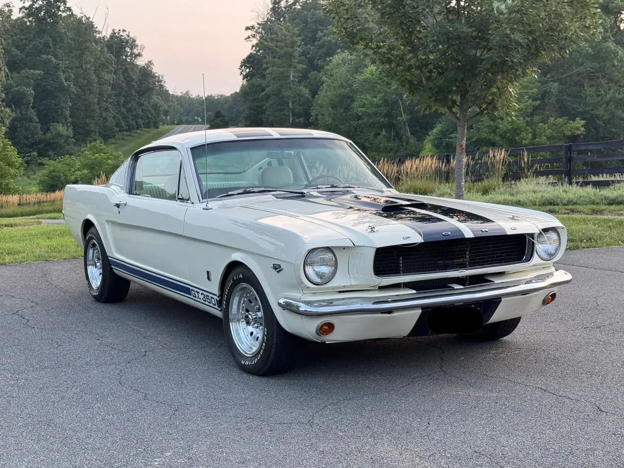 1965 Ford Mustang Fastback GT350, view