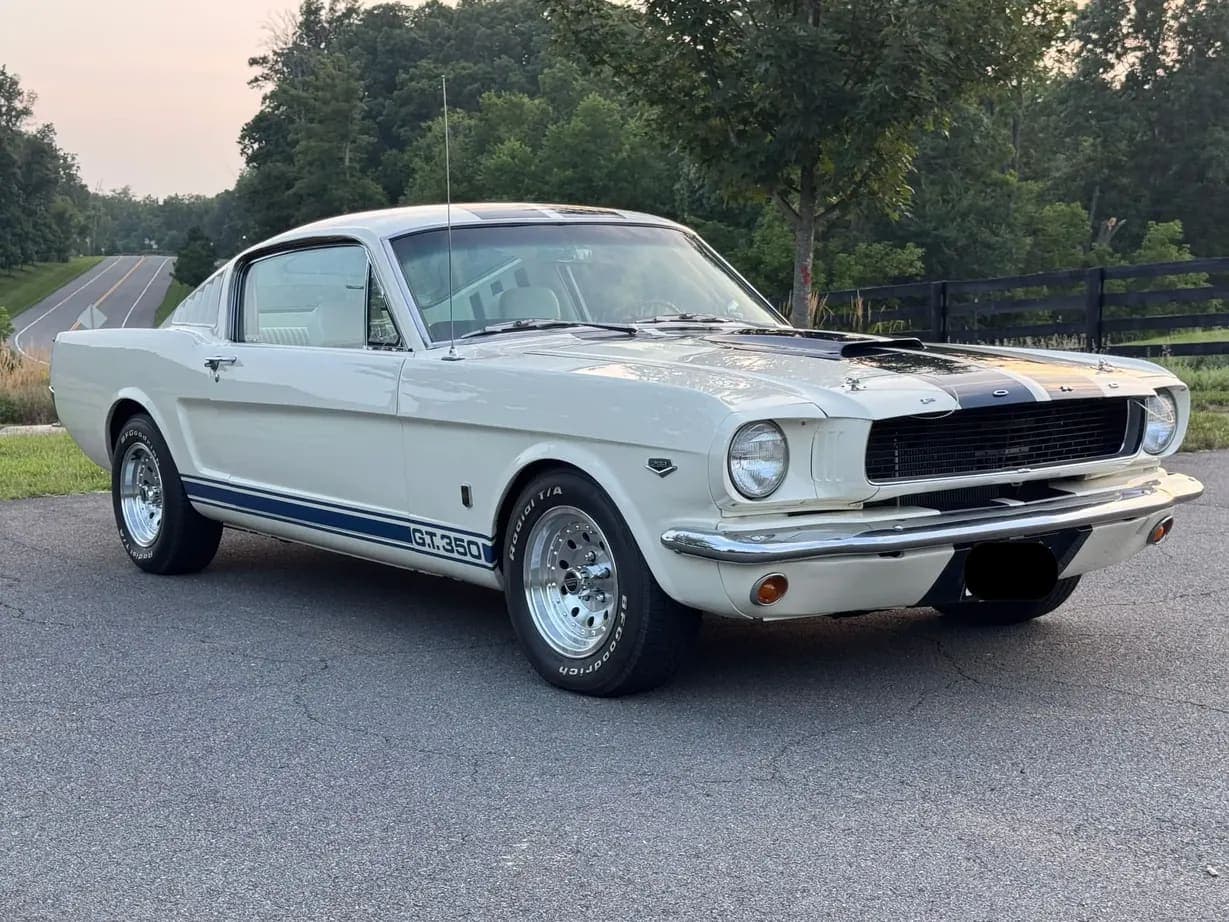1965 Ford Mustang Fastback GT350, view