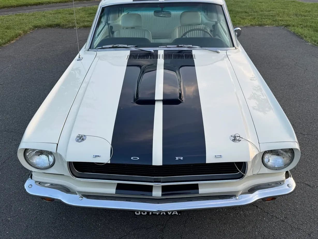 1965 Ford Mustang Fastback GT350, view