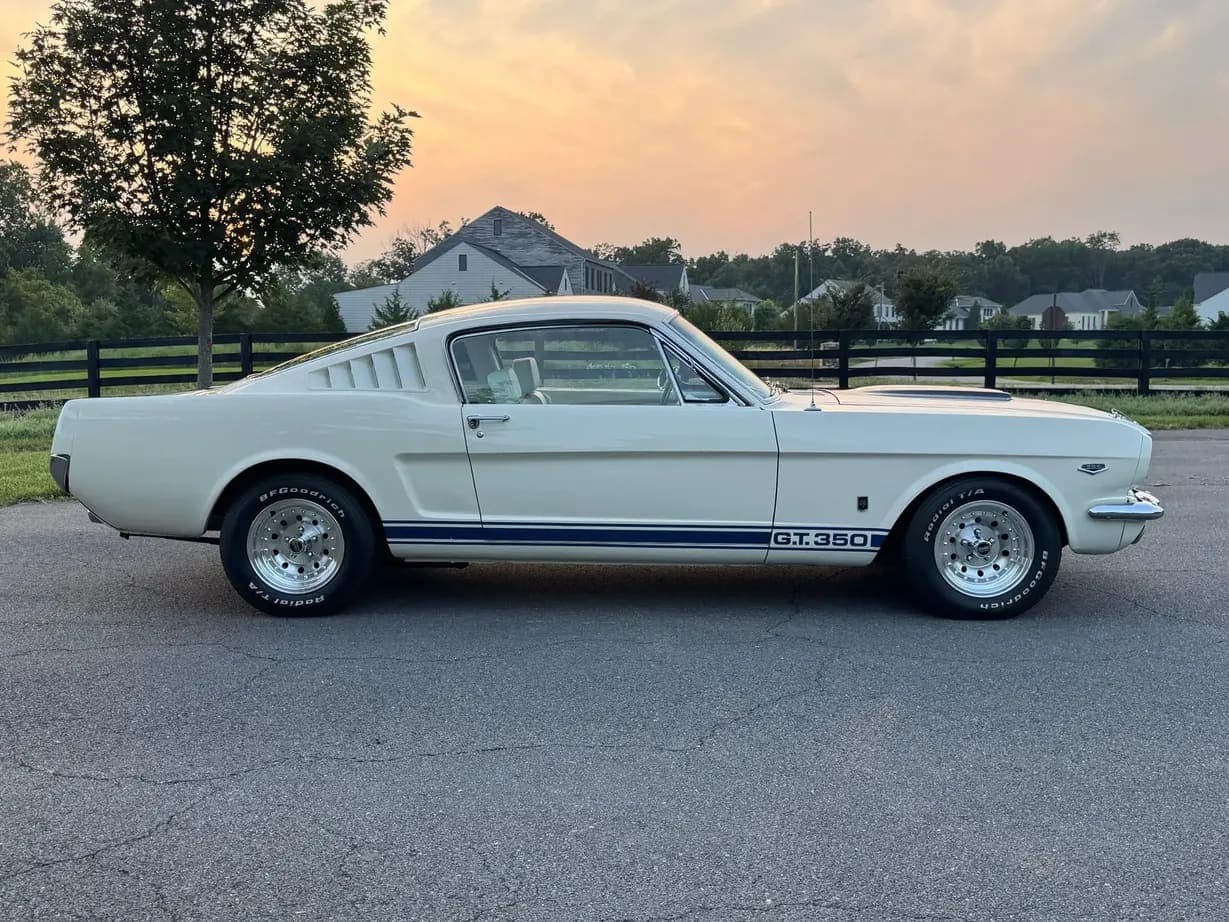1965 Ford Mustang Fastback GT350, view