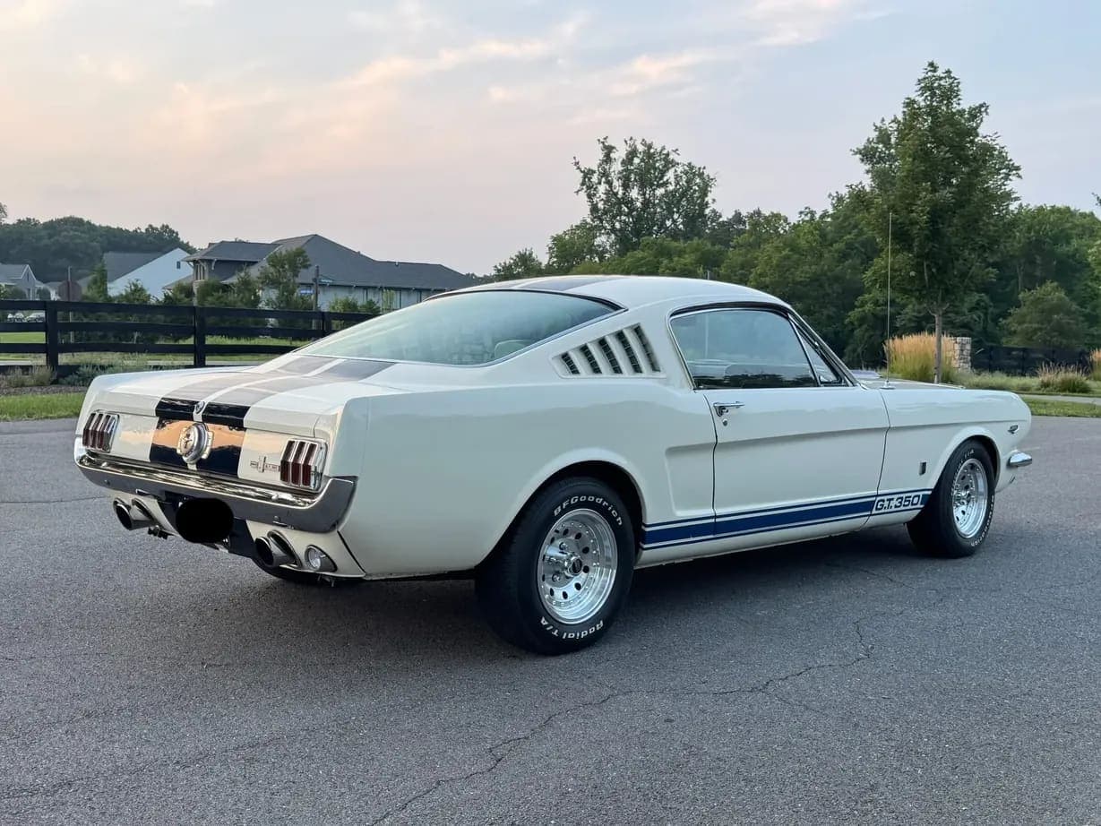 1965 Ford Mustang Fastback GT350, view