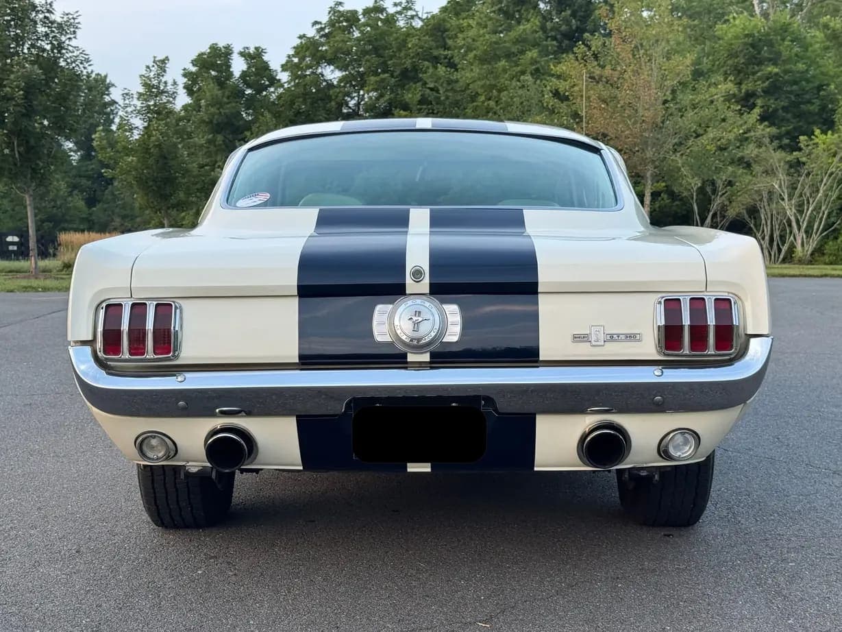 1965 Ford Mustang Fastback GT350, view