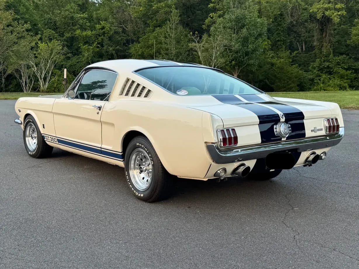1965 Ford Mustang Fastback GT350, view