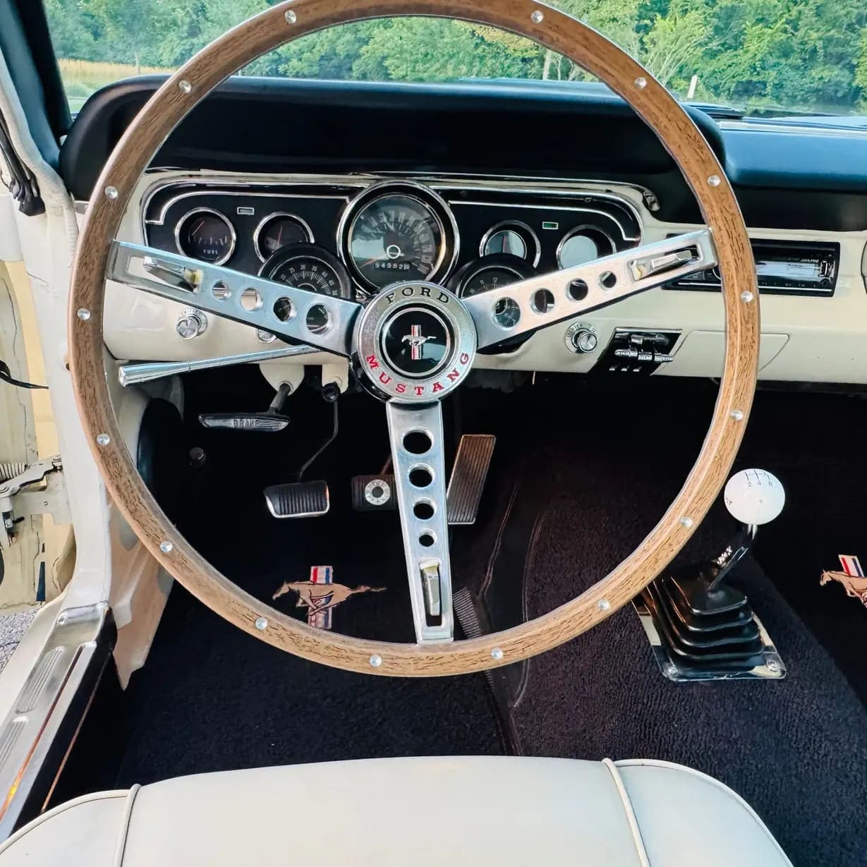 1965 Ford Mustang Fastback GT350, view