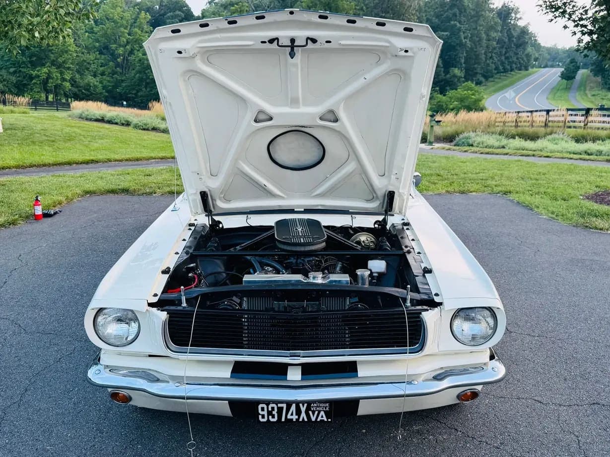 1965 Ford Mustang Fastback GT350, view